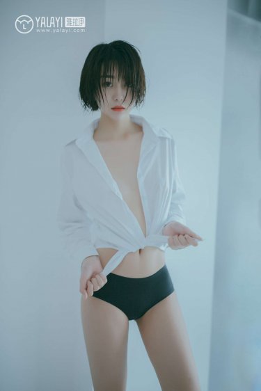 藏羚王